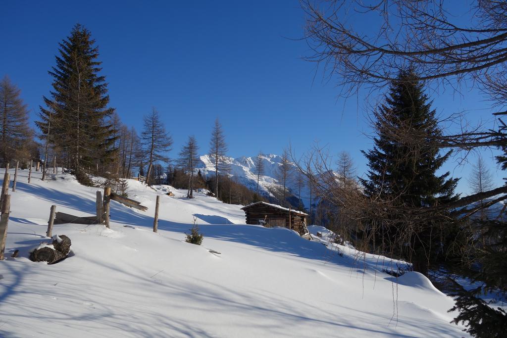 Wachtlerhof Appartement Matrei in Osttirol Buitenkant foto