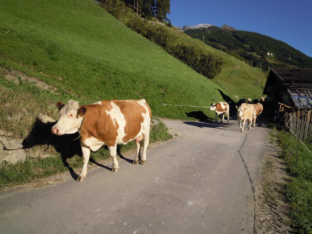 Wachtlerhof Appartement Matrei in Osttirol Buitenkant foto