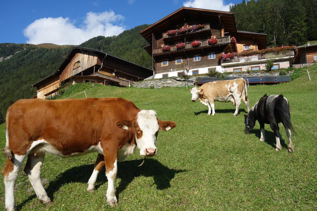 Wachtlerhof Appartement Matrei in Osttirol Buitenkant foto