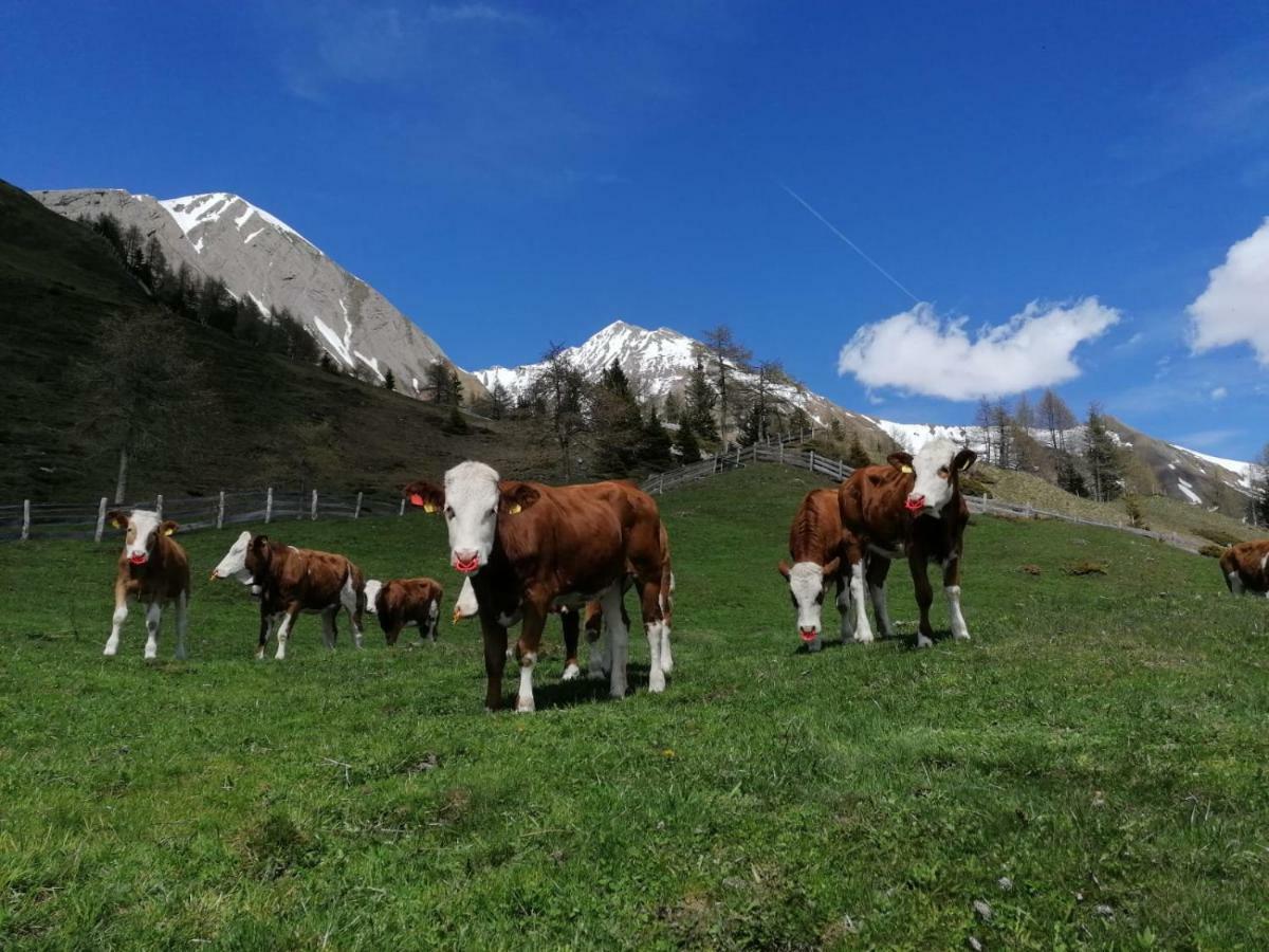 Wachtlerhof Appartement Matrei in Osttirol Buitenkant foto